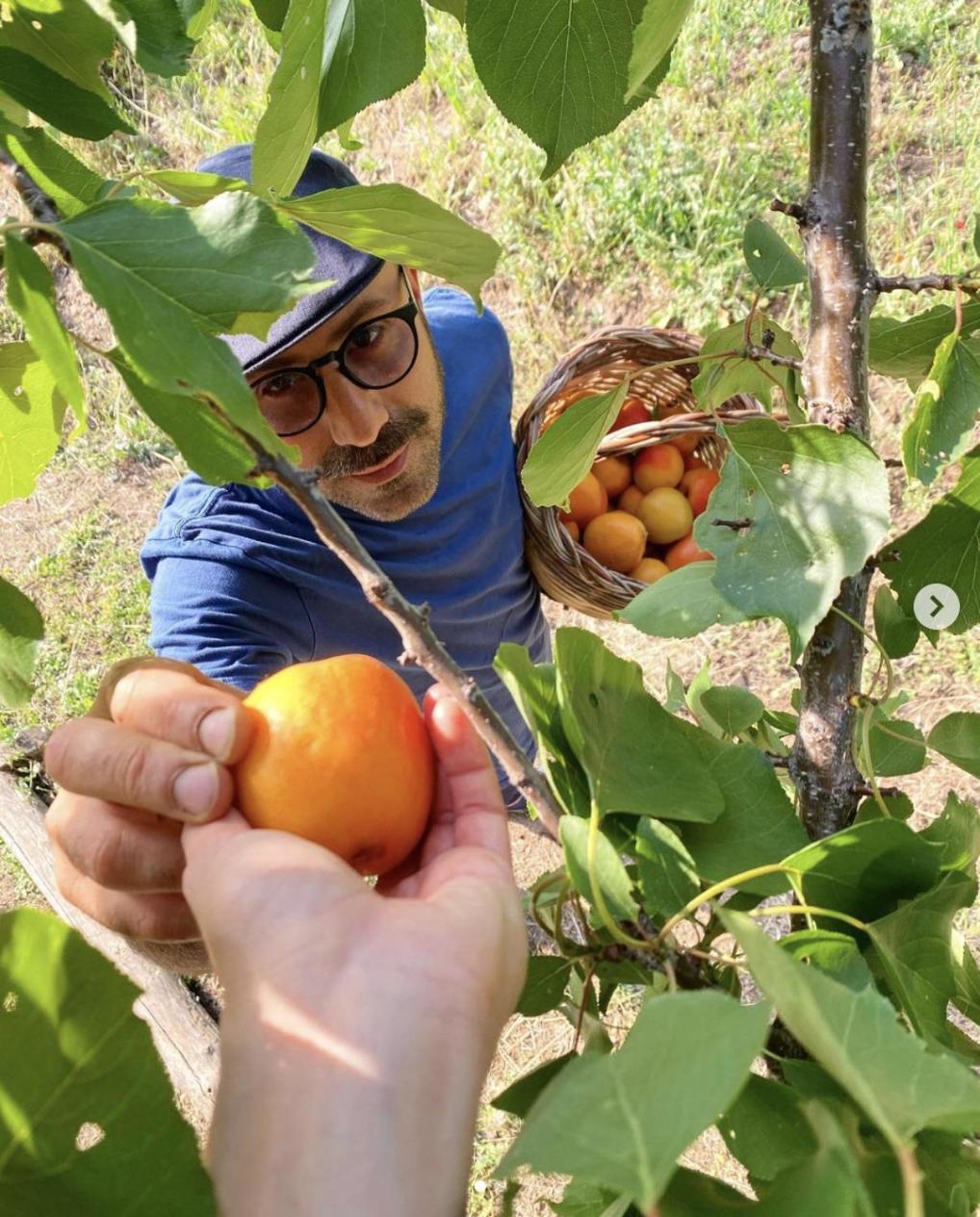 Agriturismo Il Riccio 몬티키오 외부 사진