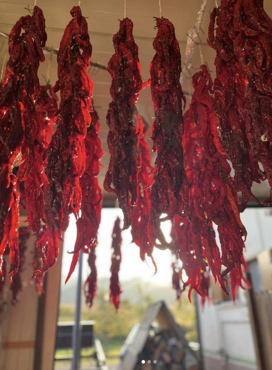 Agriturismo Il Riccio 몬티키오 외부 사진