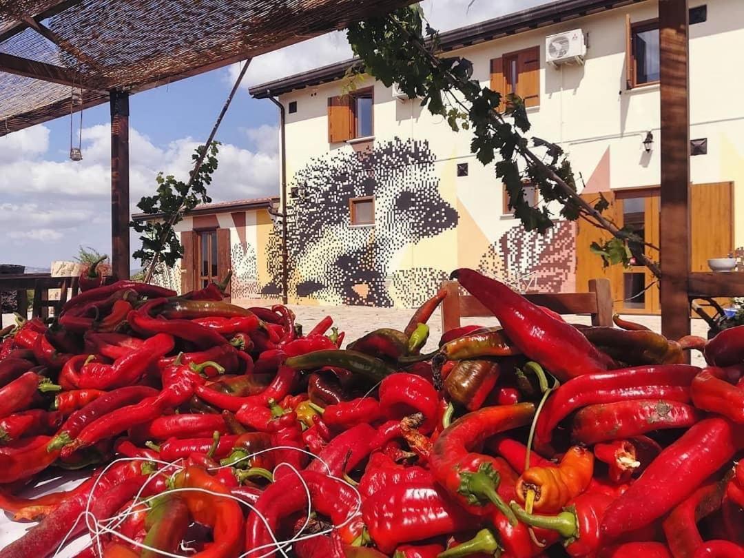 Agriturismo Il Riccio 몬티키오 외부 사진