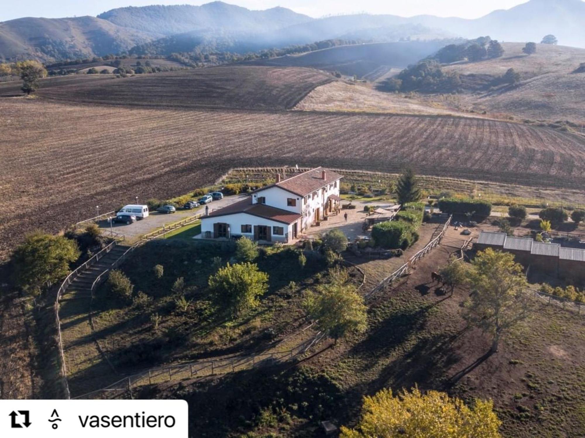 Agriturismo Il Riccio 몬티키오 외부 사진