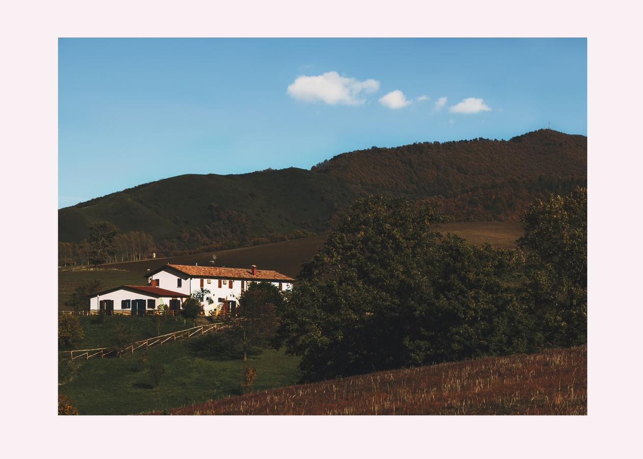 Agriturismo Il Riccio 몬티키오 외부 사진