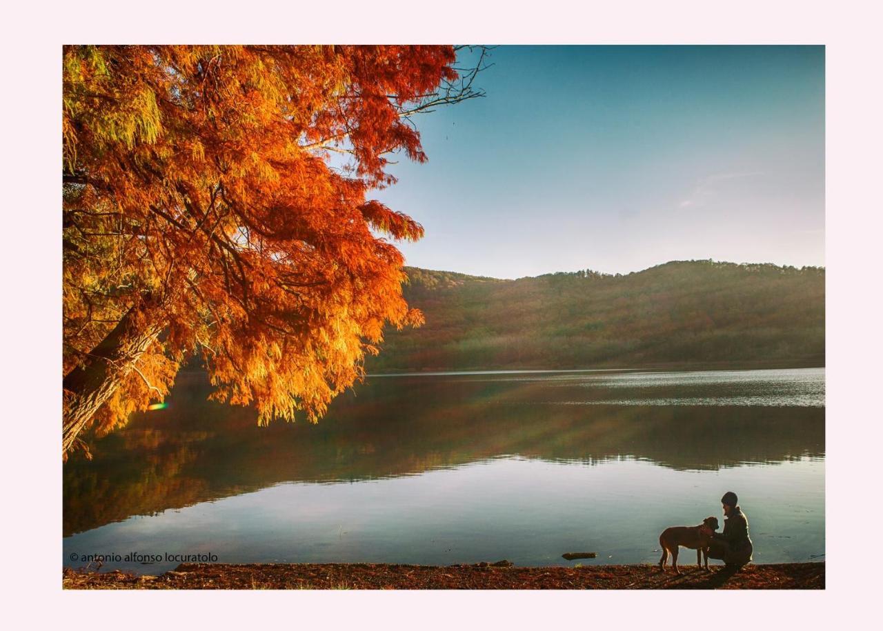 Agriturismo Il Riccio 몬티키오 외부 사진