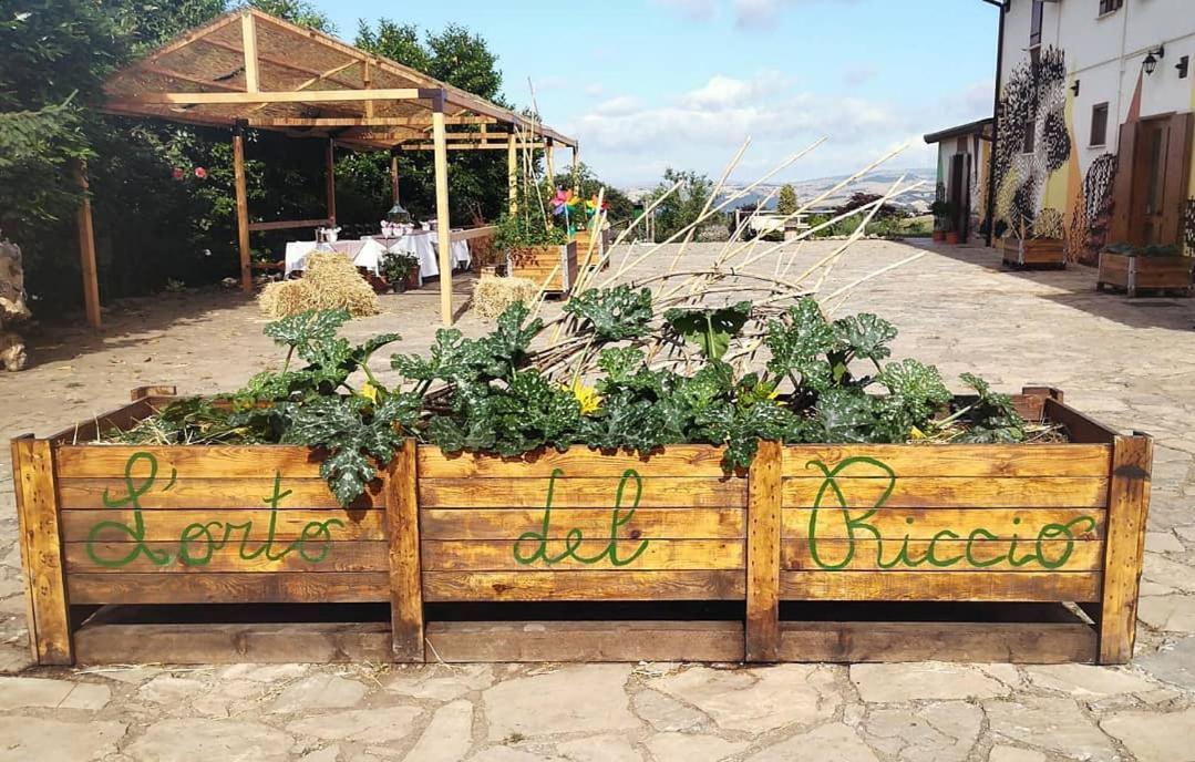 Agriturismo Il Riccio 몬티키오 외부 사진