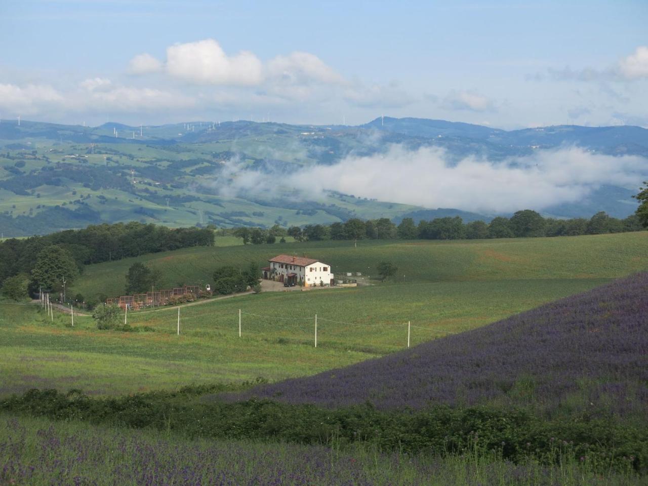 Agriturismo Il Riccio 몬티키오 외부 사진