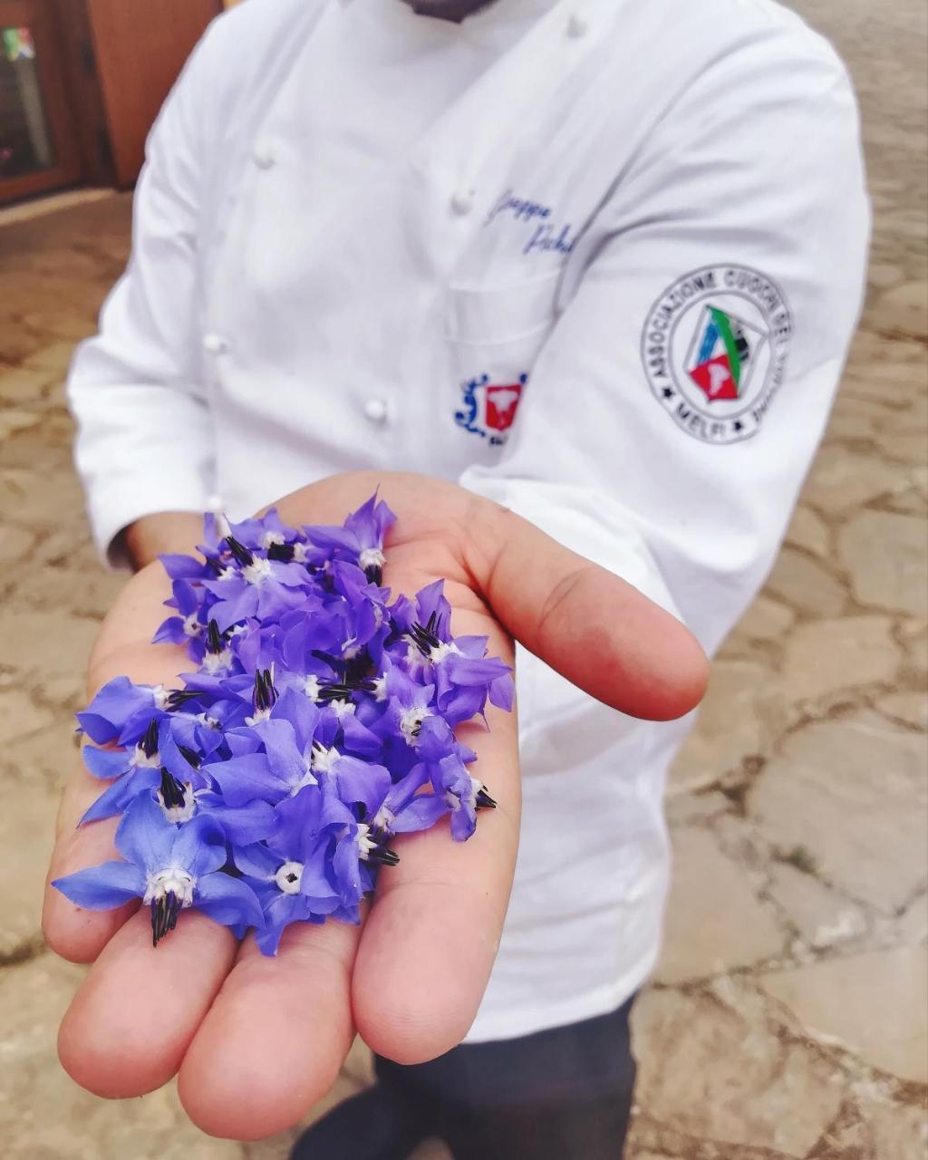Agriturismo Il Riccio 몬티키오 외부 사진