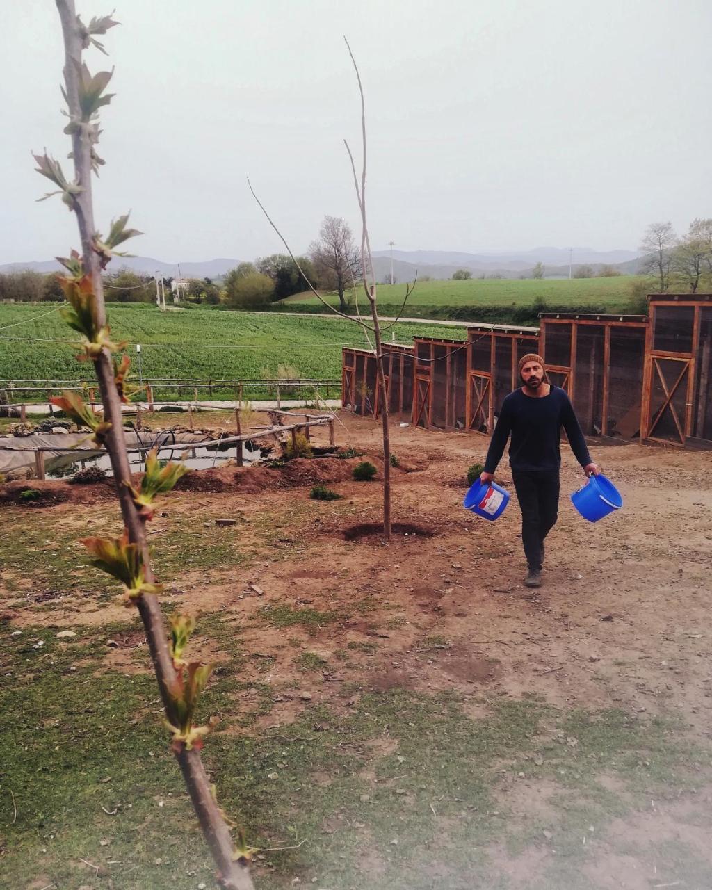 Agriturismo Il Riccio 몬티키오 외부 사진